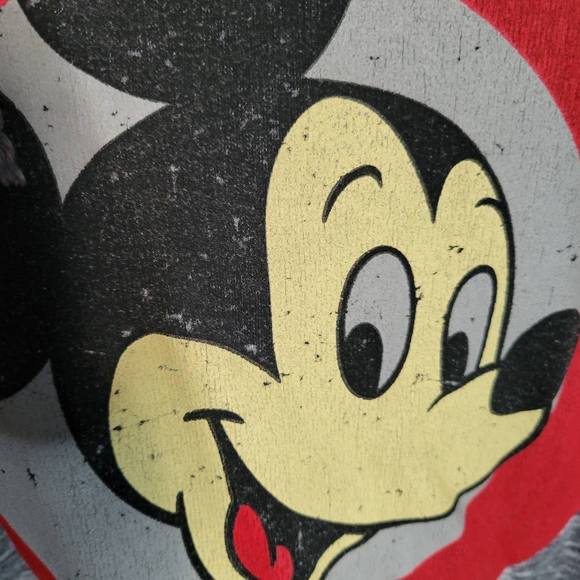 Disneyland Walt Disney World Mickey Mouse distressed Vintage look hoodie size XL - Picture 3 of 5